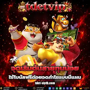 เว็บtdetvip